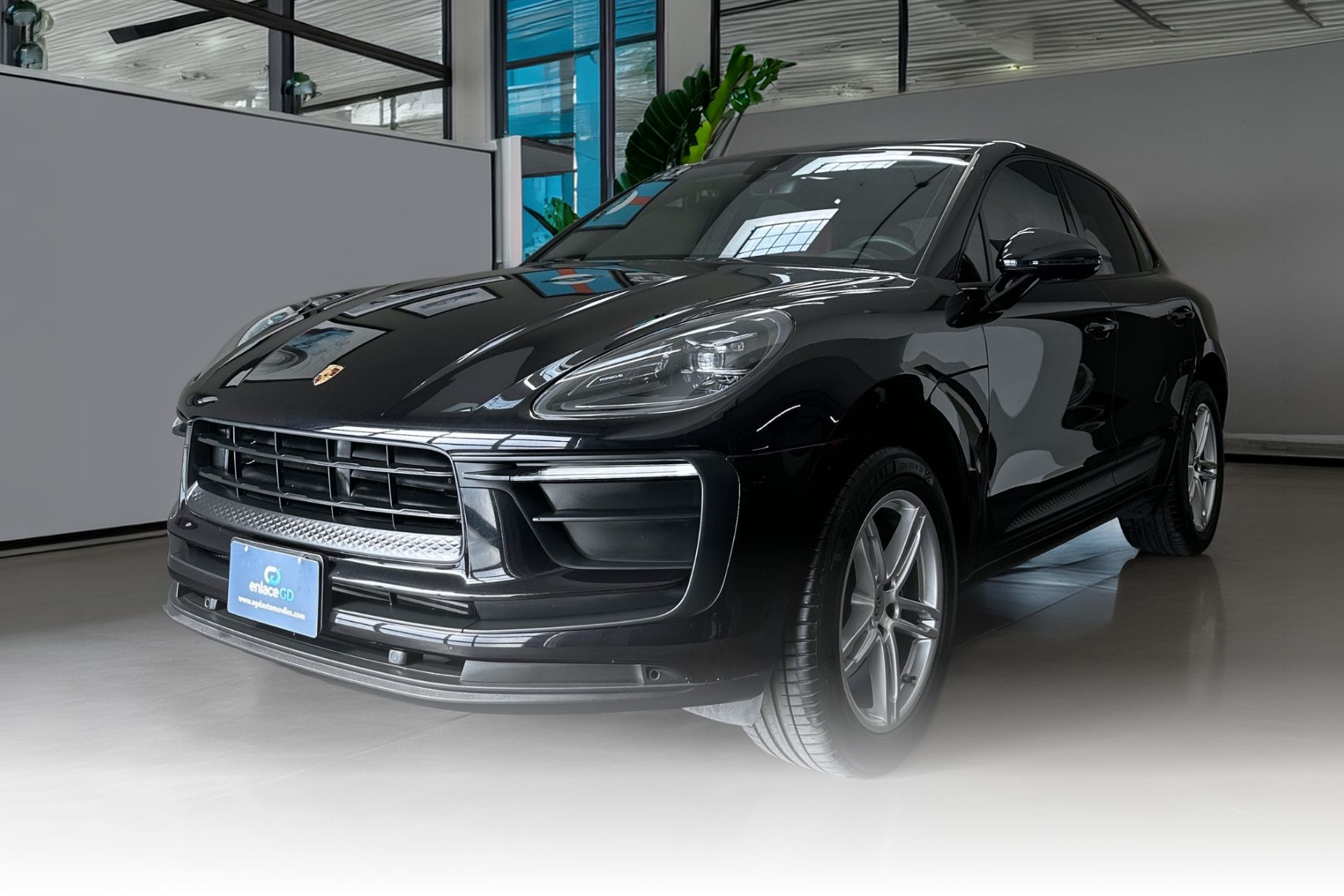 Macan